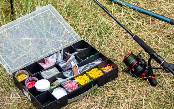 Fishing tackle on the river bank, bait rod, spinning rod, fish. Nature. Selective focus