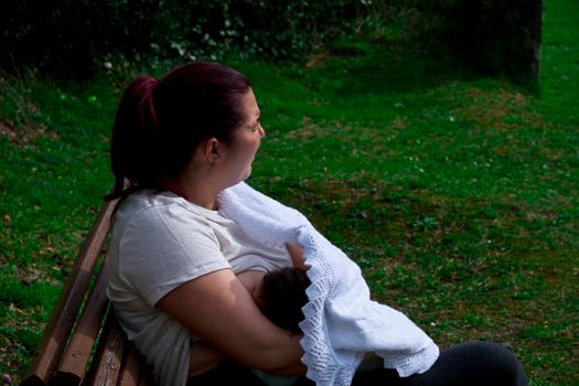A young mother is breastfeeding her baby on a park bench