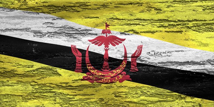 Brunei flag - realistic waving fabric flag