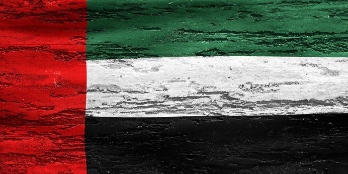 united arab emirates flag - realistic waving fabric flag