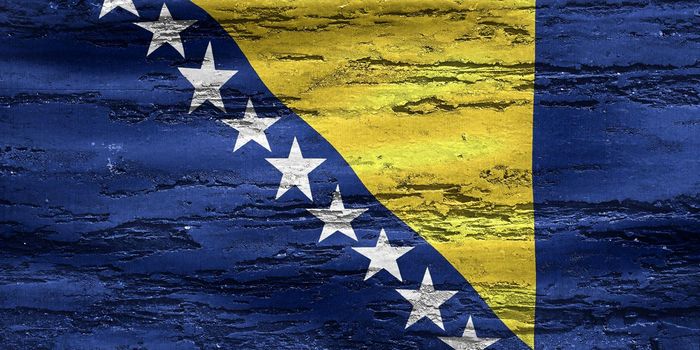 Bosnia and Herzegovina flag - realistic waving fabric flag