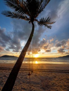 Coconut palm trees and tropical sea. Summer vacation and tropical beach concept. Coconut palm grows on white sand beach. Alone coconut palm tree in front of freedom beach Phuket, Thailand. 