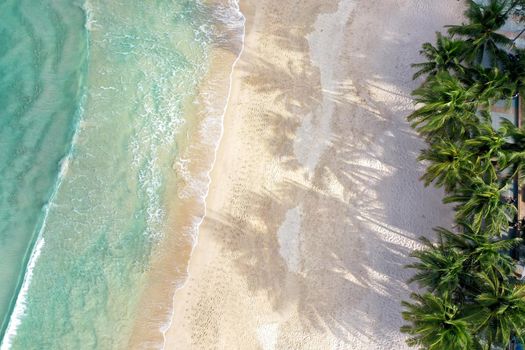 Aerial view top view Beautiful topical beach with white sand coconut palm trees and sea. Top view empty and clean beach. Waves crashing empty beach from above. With copy space.
