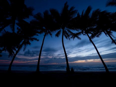 Beautiful sunset over the sea with silhouette coconut plam tree. Patong tropical beach Phuket Thailand is famous tourist destination at Andaman sea.