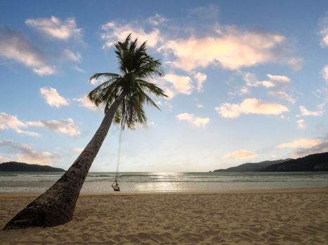 Coconut palm trees and tropical sea. Summer vacation and tropical beach concept. Coconut palm grows on white sand beach. Alone coconut palm tree in front of freedom beach Phuket, Thailand. 