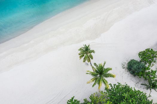 Areal drone top down view Phuket, Thailand. Tropical beach paradise with beach swing with girl in white shirt. Women relax on swing under coconut palm tree at beautiful tropical beach White sand. Luxury beach scene vacation summer holiday concept.