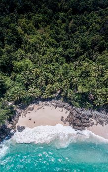 Aerial drone top down view of beatiful beach blue sea. Panorama view of beach with coconut palm tree. Aerial view drone white beach sand. Blue sea clear water. Freedom Beach, Phuket, Thailand.