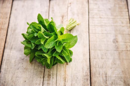 Fresh homemade greens from the garden. Selective focus.nature