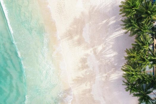 Aerial view top view Beautiful topical beach with white sand coconut palm trees and sea. Top view empty and clean beach. Waves crashing empty beach from above. With copy space.