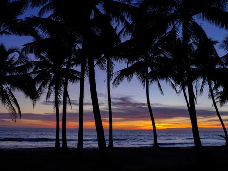 Beautiful sunset over the sea with silhouette coconut plam tree. Patong tropical beach Phuket Thailand is famous tourist destination at Andaman sea.
