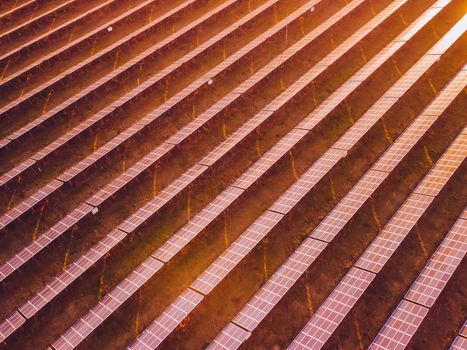 Aerial top view of a solar panels power plant. Photovoltaic solar panels at sunrise and sunset in countryside from above. Modern technology, climate care, earth saving, renewable energy concept