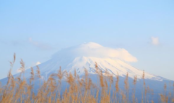 peak of Mount Fuji, view from Lake Kawaguchiko, Japan