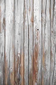 old white wood texture and background