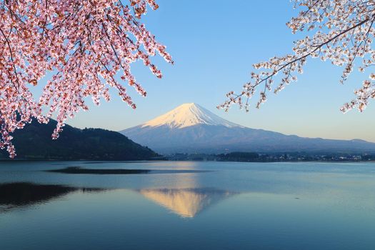 Mount Fuji with Cherry Blossom, view from Lake Kawaguchiko, Japan