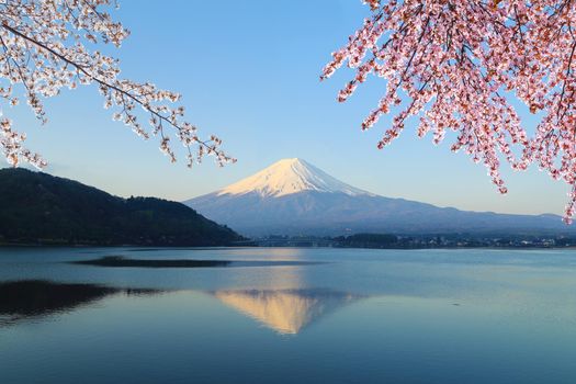 Mount Fuji with Cherry Blossom, view from Lake Kawaguchiko, Japan