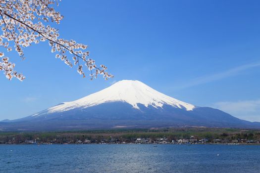 Mt.Fuji with Cherry Blossom at Lake Yamanaka, Yamanashi, Japan