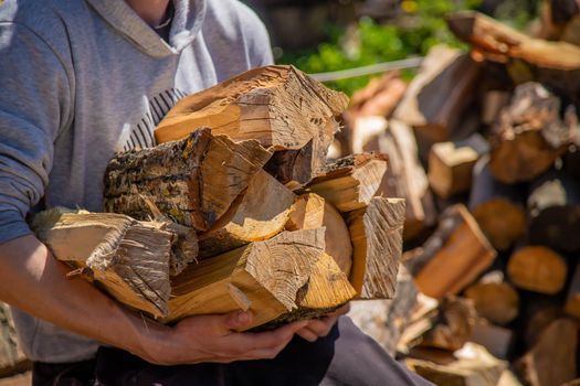 A pile of stacked firewood, prepared for heating the house. Gathering fire wood for winter or bonfire. Man holds fire wood in hand