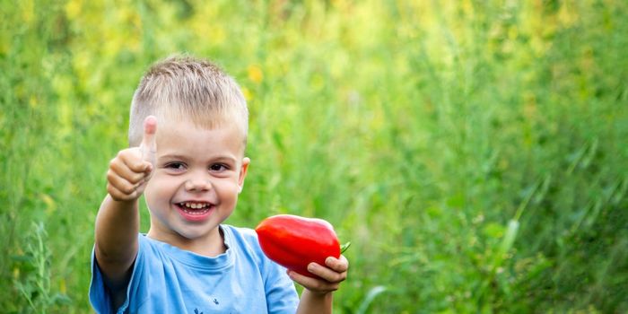 the child holds fresh vegetables in his hands, eats pepper. Nature. selective focus