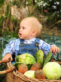 The child is a little farmer. Farm assistant.