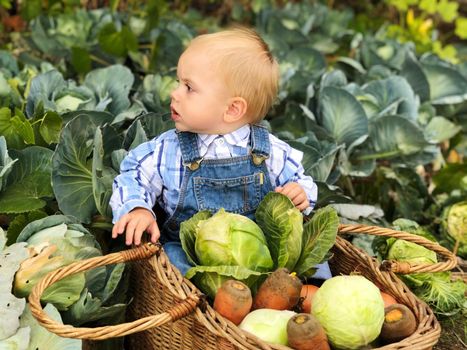 The child is a little farmer. Farm assistant.