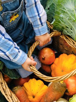 The child is a little farmer. Farm assistant.