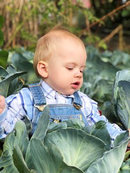 The child is a little farmer. Farm assistant.