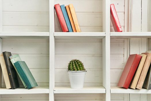 White wooden shelves with old books. Wooden bookcase. Book library. Cactus on a bookshelf