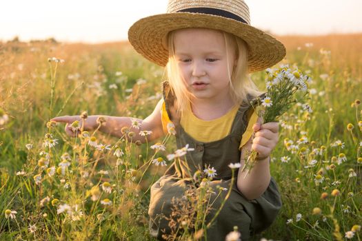 A little blonde girl in a straw hat walks in a field with a bouquet of daisies. The concept of walking in nature, freedom and an eco-friendly lifestyle.