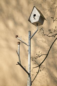 Birdhouse on the iron pipe. Bird house in the park.