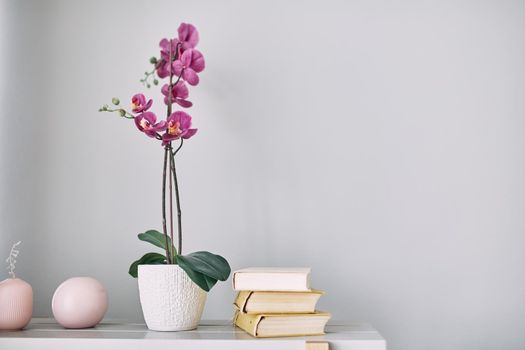 lilac flower is in a pot on the shelf. Interior detail. Modern interior