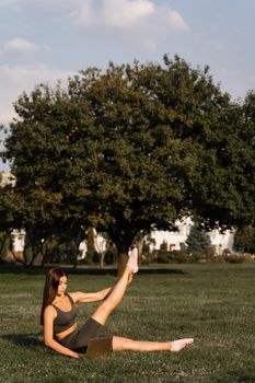 Active fit girl training online with laptop on green grass in the park. Sport lifestyle. Outdoor training