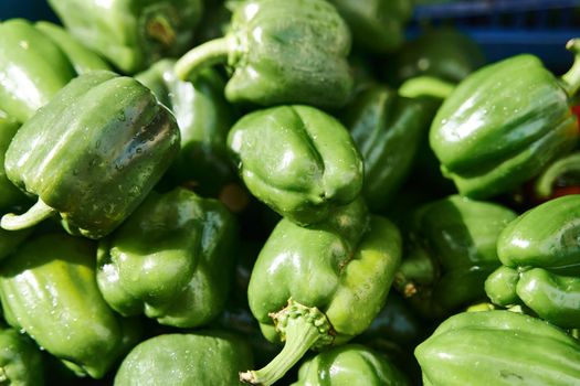 Green fresh peppers on the counter in a vegetable shop. High quality photo