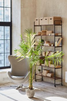 Shelf with boxes and books. Chair and Bush