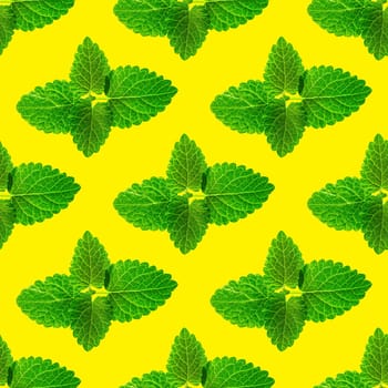 Seamless pattern of fresh mint leaves on yellow background for packaging design. peppermint abstract background.