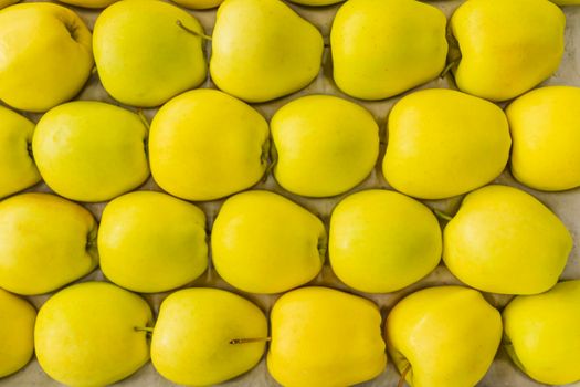yellow apples packed in cardboard boxes close-up