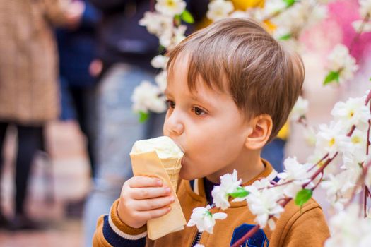 A happy child eats ice cream. A smiling little boy holds 1 ice cream in his hands, hidden by the flowering branches of a tree. Children and sweets