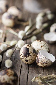 Quail eggs on a wooden background vertical