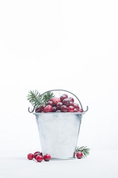 Frozen cranberry berries on a white background and fir tree