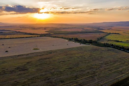 Aerial drone view of plowed and green fields, trees at sunset, agriculture concept. Countryside farmland in the summer