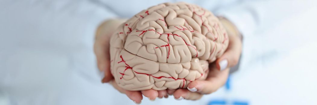 Doctor holding artificial model of human brain closeup. Diagnostics and treatment of mental illness concept