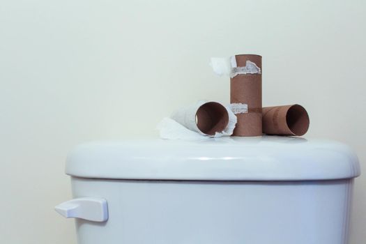 Center of toilet paper rolls without paper on a white background with copy space