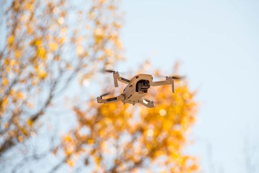 Flying drone taking pictures of autumn landscape. Blue sky, yellow leaves.