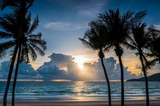 Patong beach, Thailand. Beautiful sunset over sea with blue sky and cloud. Sunset time at tropical beach with silhouette coconut palm tree. Empty tropical beach on sunset time.