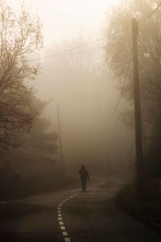 Lonely girl walking among the fog on a road surrounded by trees