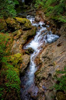 Mountain hiking paradise landscape, forest creek