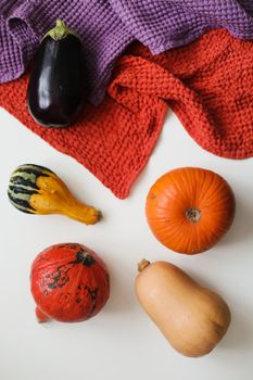 different types of pumpkins and eggplant on white background. High quality photo