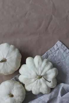 Autumn frame made of white pumpkins and squash on craft paper background. Fall, Halloween, Thanksgiving concept. Top view, copy space.