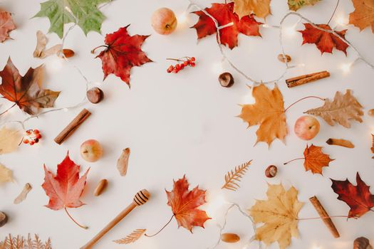 Beautiful autumn flatlay, frame of orange and red leaves. Creative autumn pattern, postcard. copy space, top view