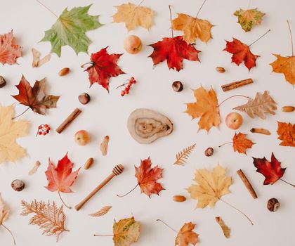 Beautiful autumn flatlay, frame of orange and red leaves. Creative autumn pattern, postcard. copy space, top view