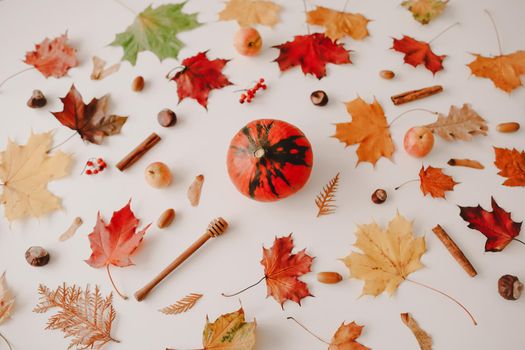 Beautiful autumn flatlay, frame of orange and red leaves. Creative autumn pattern, postcard. copy space, top view
